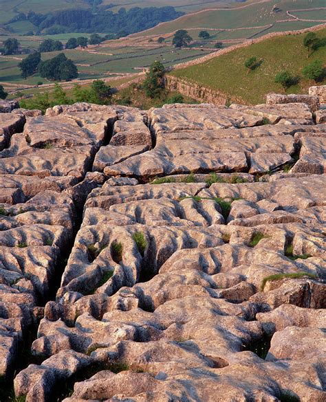 Limestone Pavement In Yorkshire Photograph By Simon Fraserscience
