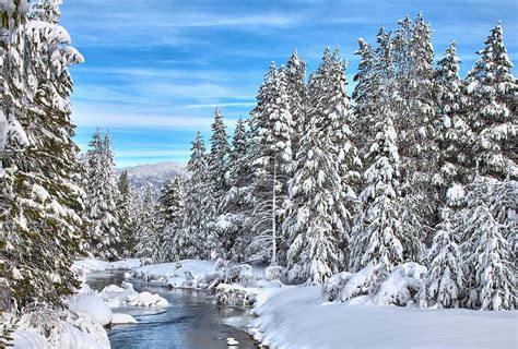 River In Winter Forest Snow Landscape Firs Hd Wallpaper Peakpx