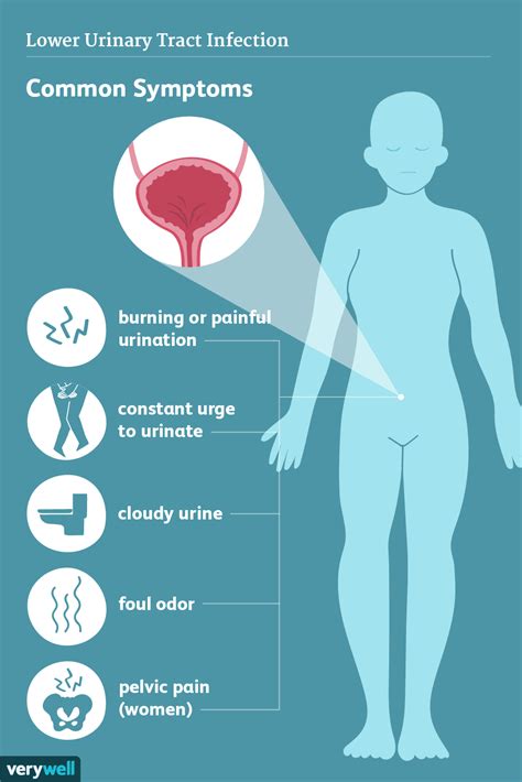 Infections Des Voies Urinaires Sympt Mes Et Complications