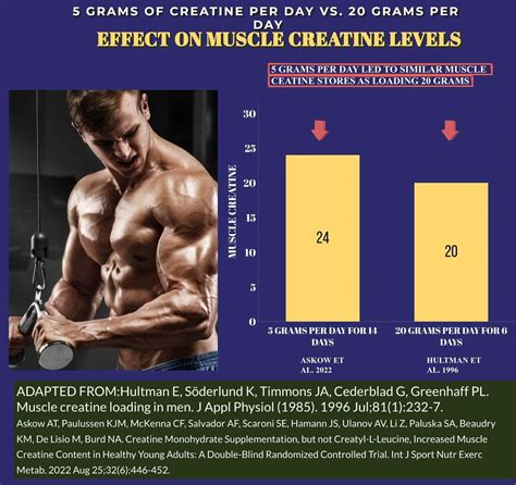 A Guide To Creatine Loading Phase Is It Necessary Evidence Based Muscle