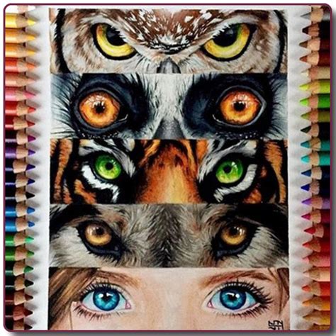 App Insights How To Draw Animal Eyes Apptopia