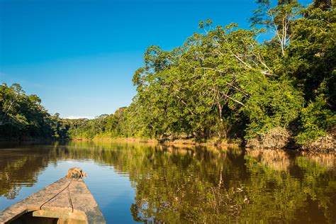 My Peruvian Adventure To The Amazon On The Go Tours Guides