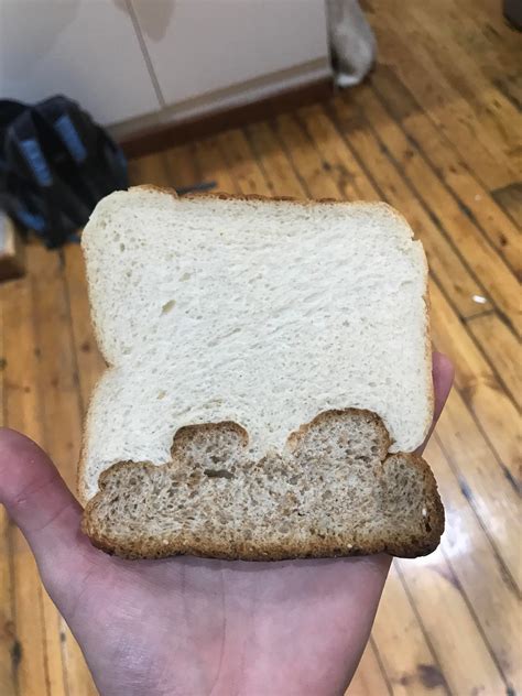 This slice of bread is made from white and brown bread : mildlyinteresting