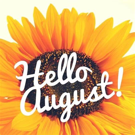 A Yellow Sunflower With The Words Hello August Written In White On Its
