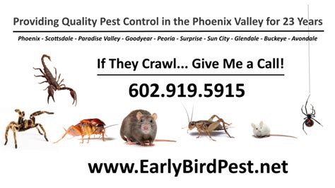 Surprise Arizona Pest Control Exterminator