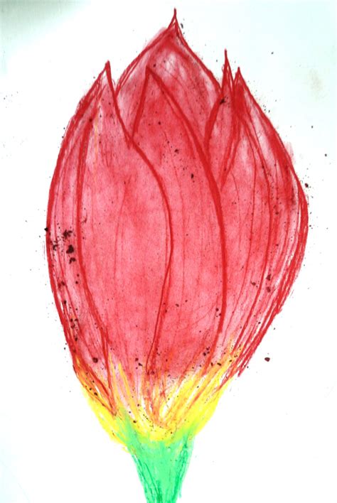Drawing Tulips Big
