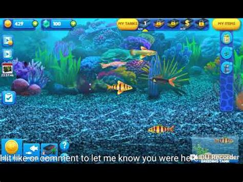 Check spelling or type a new query. Fish Tycoon 2 Android. The Beginning 1. Lets Play mobile ...