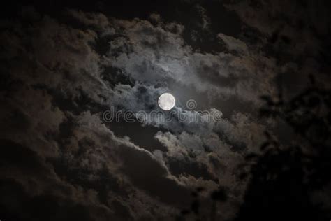 Background With Night Cloudy Sky And Full Moon Halloween Spooky Night