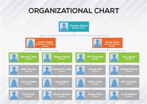 Organizational Chart Template Template Free Psd Shop Fresh