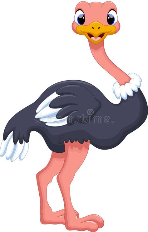 Ostrich Cartoon Stock Illustration Illustration Of