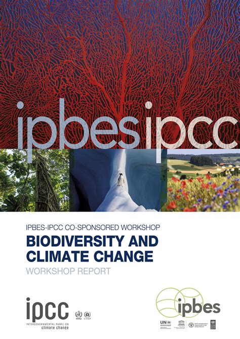 Tackling The Biodiversity And Climate Crises Together And Their