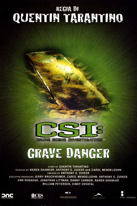 Grave Danger 2006 The Poster Database Tpdb