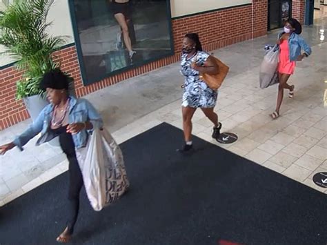sheriff seeks women involved in shoplifting spree at mall carrollwood fl patch