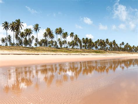 Litoral Norte Da Bahia As Melhores Praias Da Costa Dos Coqueiros