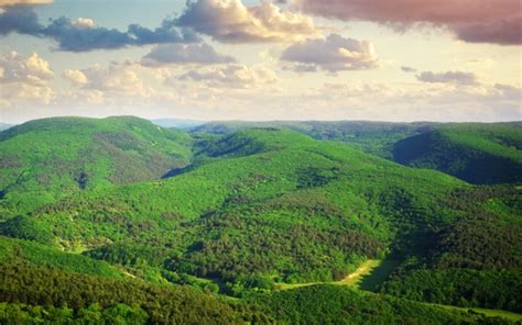 Nature Trees Sky Hills Greenery Wallpapers Hd Desktop And Mobile