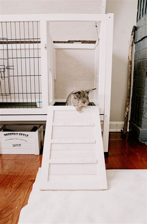 However, caring for and housing rabbits takes time and effort. Pin on Bunny Dreams