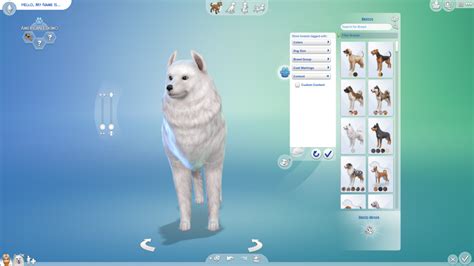 Custom Content Breeds And Clothing Are Possible In The Sims 4 Cats And Dogs