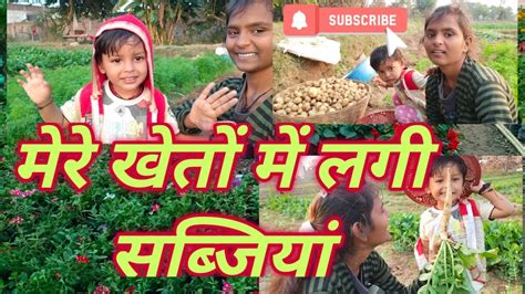 मेरे खेतों में लगी सब्जियां My Village Life Style From India Youtube
