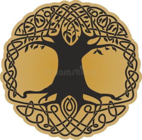 Celtic Tree Of Life Stock Vector Illustration Of Tree 57164030