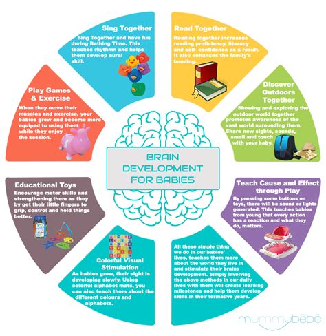 Baby Brain Development Timeline