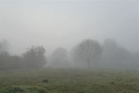 Free Images Landscape Nature Forest Fog Mist Field Prairie