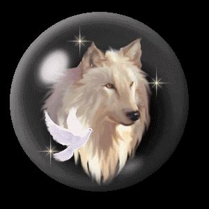 Llll➤ hundreds of beautiful animated wolves gifs, images and animations. White Wolf Animated - Wolves Photo (13007017) - Fanpop