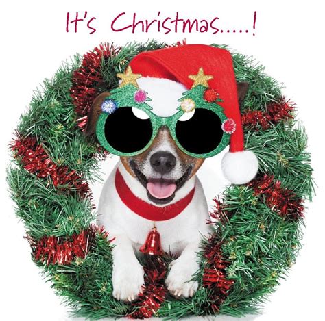 Christmas Cards Dogs And Puppy Beautiful Designs