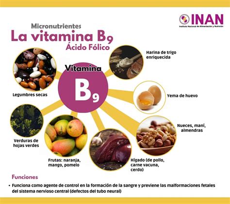 Es Importante Conocer Las Vitaminas Inan