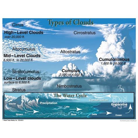 The Types Of Clouds Are Shown In This Graphic Above The Water Cycle