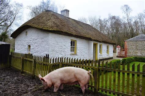 Typical Irish farm cottage | Irish cottage, Cottage inspiration, Cottage
