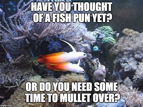 Funny Fish Puns Memes And Fishing One Liners Nano Reef Adviser