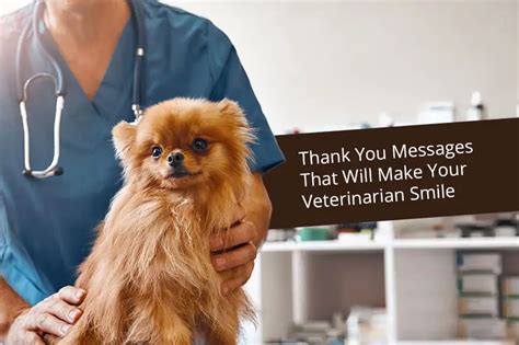 Thank You Messages That Will Make Your Veterinarian Smile