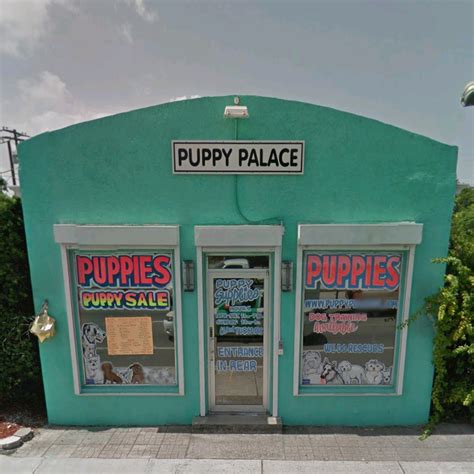 Puppy Palace Closed 26 Photos And 45 Reviews Pet Stores 5909