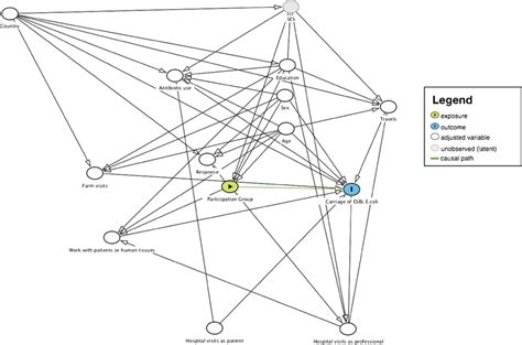 Directed Acyclic Graph Dag For The Direct Effect Of Participation