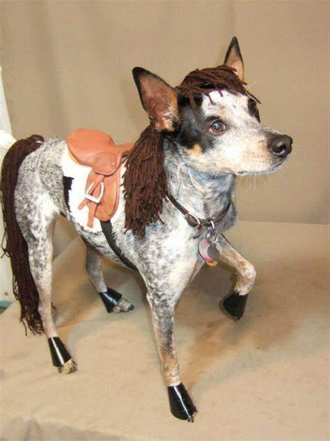 Ponydog Group Halloween Costumes For Adults Cute Group Halloween