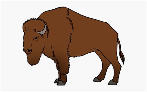 How To Draw Buffalo Easy How To Draw A Buffalo Free Transparent