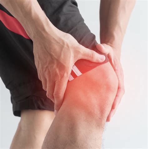 How Important Are Hamstrings In Knee Pain Oa Core Omaha Explains C O R E Physical Therapy