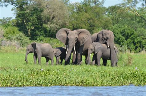 The Big 5 Reasons To Travel To Malawi 1 2 Travel Africa