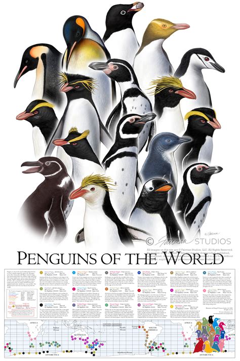The mother penguin with her kids: The Poster | Penguins of the World