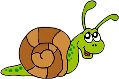 Land Snail Clipart 20 Free Cliparts Download Images On Clipground 2022