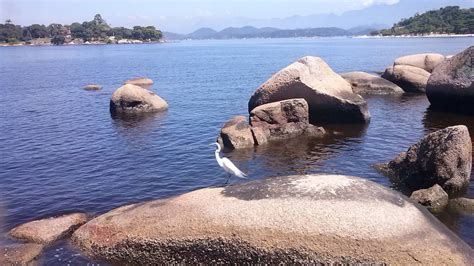 Paquetá Island Ferry Boat Tour Welcome To Rio De Janeiro Home Of The