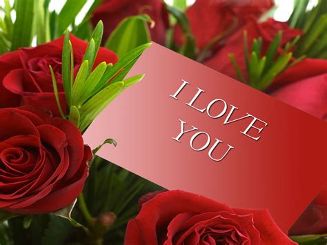 Ruže Kao Poklon Za Valentinovo Uz Poruku Volim Te Download Besplatna