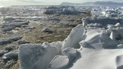 Arctic Sea Ice Melt At Record Level Bbc News