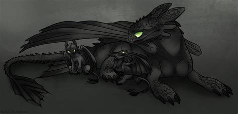 Pin By Mallory M On Night Furies How Train Your Dragon Night Fury Dragon How To Train Dragon