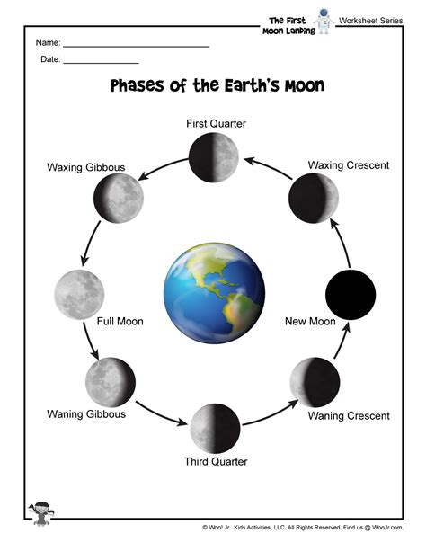 Moon Phases In Order Reference Worksheet Woo Jr Kids