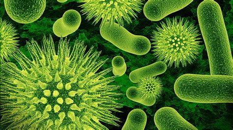 細菌、 自然、 クローズアップ、 顕微鏡、 ウイルス、 細菌、 科学、 緑、 生物学の顕微鏡写真、 Hdデスクトップの壁紙