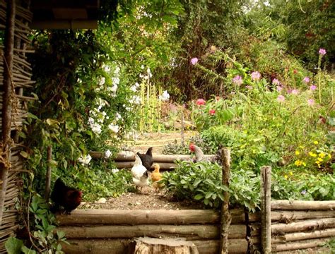 25 Luxe Organiser Son Jardin Potager