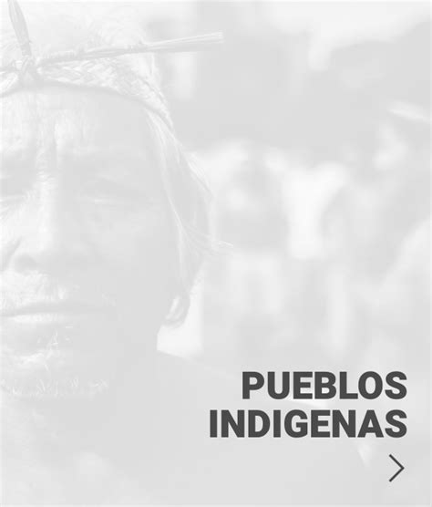 Pueblos Indígenas Tierraviva
