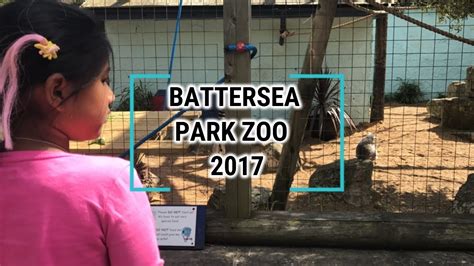Battersea Park Childrens Zoo Tour Youtube