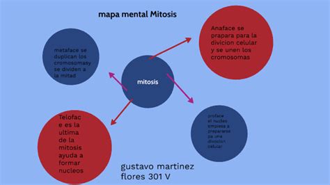 Arriba 71 Imagen Mapa Mental Mitosis Abzlocal Mx